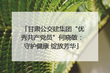 甘肃公交建集团“优秀共产党员”何晓敏：守护健康 绽放芳华